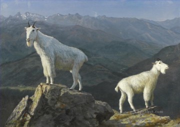 Artworks in 150 Subjects Painting - MOUNTAIN GOATS American Albert Bierstadt animal